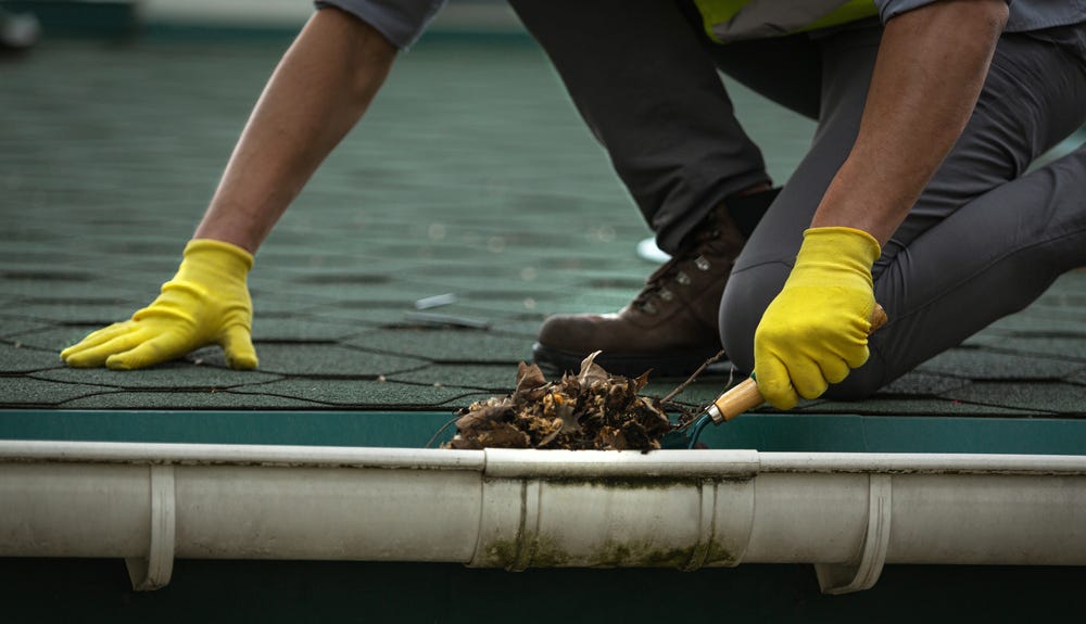 gutter cleaning Rye